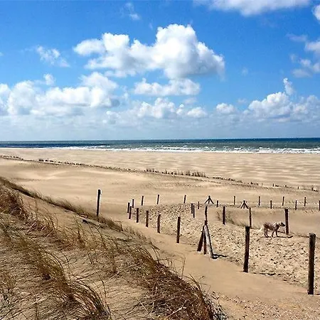 Tranquilo Petten